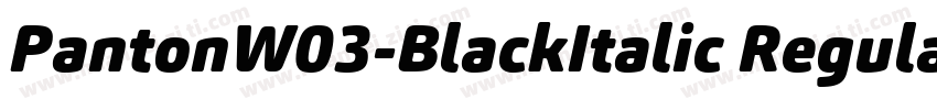 PantonW03-BlackItalic Regular字体转换